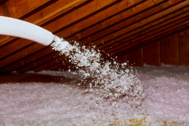 Best Eco-Friendly Insulation in Victory Gardens, NJ