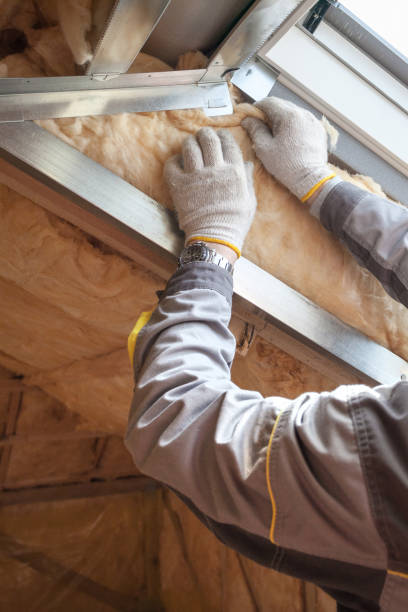 Best Spray Foam Insulation in Victory Gardens, NJ